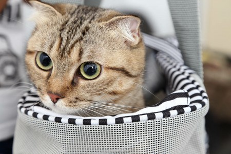 官方網站全新改版上線！