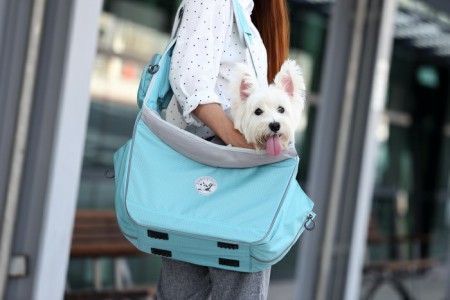 官方網站全新改版上線！