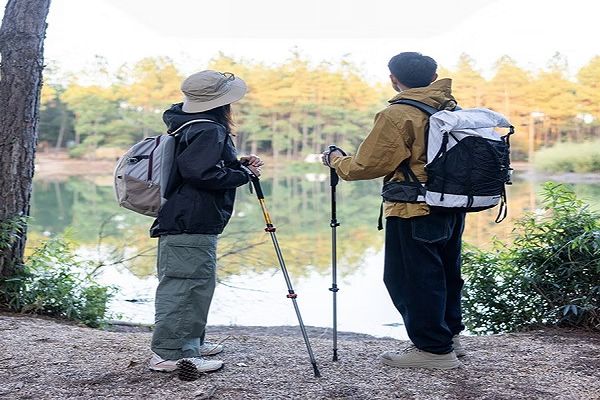 Naturehike 晴雪Base6061鋁合金外鎖登山杖 D001-Z $290 1